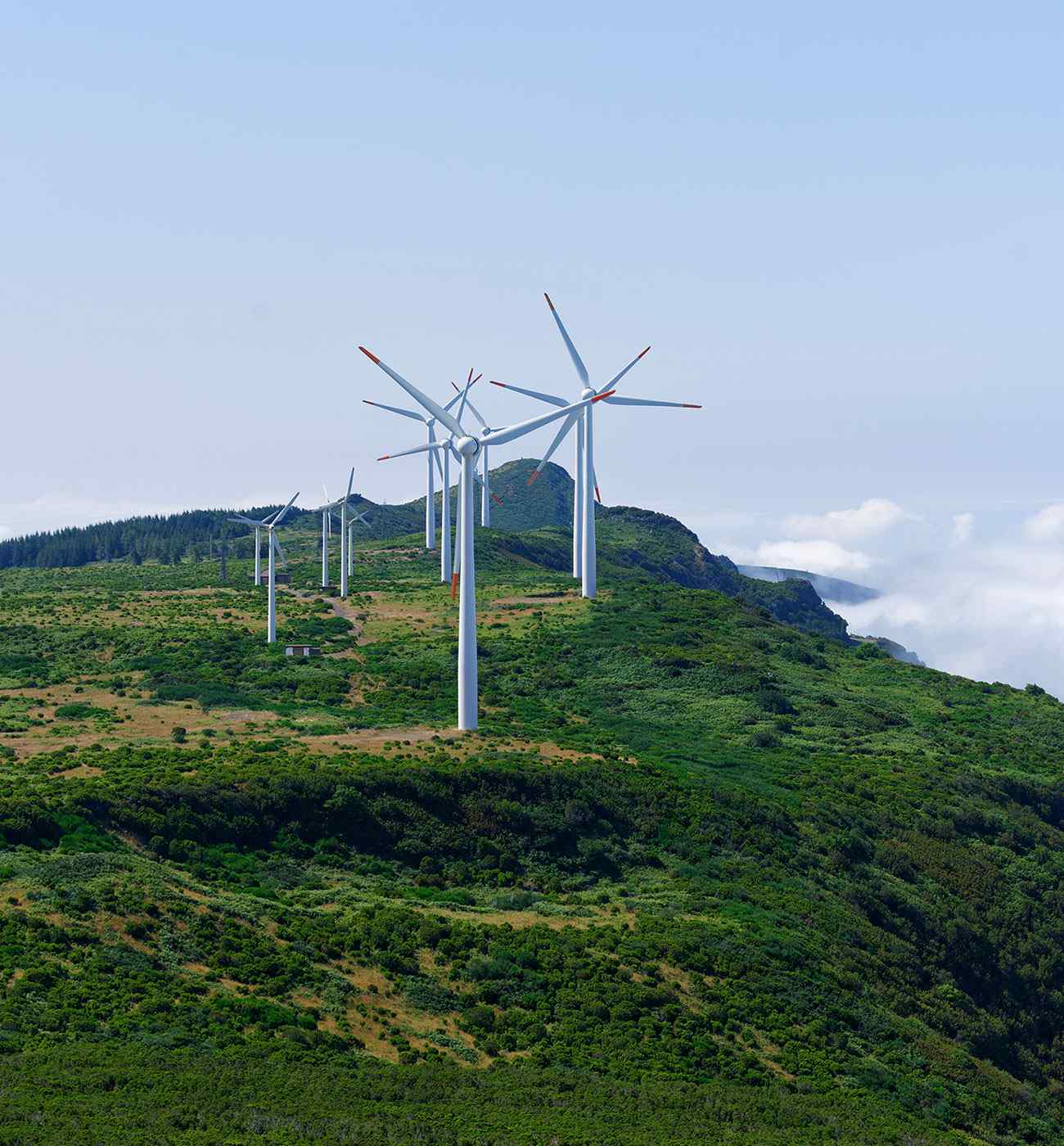 inner_image_03 https://velvetmerchants.co.ke/wp-content/uploads/2022/02/inner_image_03.jpg